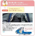 B-pillar handle.webp