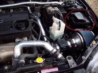 100_0100.webp