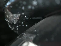DSCN1714.webp