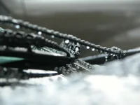DSCN1722.webp