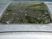 DSCN1733.webp
