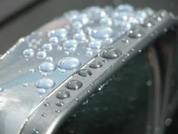 DSCN1734.webp