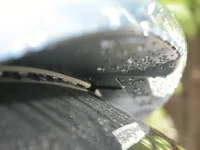 DSCN1737.webp