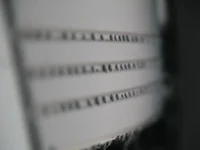 DSCN1739.webp