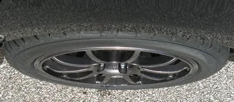 IMG_3334_crop.webp