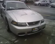 Image.webp