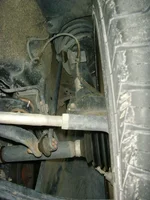 SNV32685a.webp