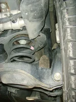 SNV32686a.webp