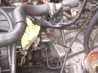 DSCF1037.webp