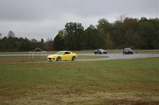 talledega1.webp