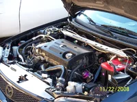 100_0231.webp