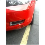 raccoondamage.webp