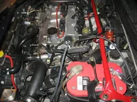 IMG_0351-1.webp