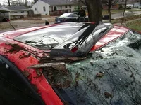 Mazda3TreeDamage2.webp