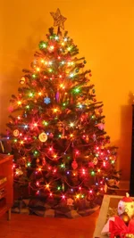 IMG_9943 (Custom).webp