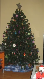 IMG_9944 (Custom).webp