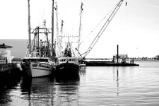 Copy of IMG_0054.webp