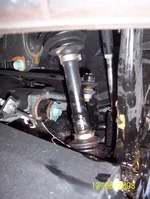 100_1536.webp
