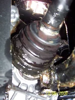 100_1542.webp
