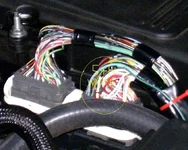 ECU O2.webp