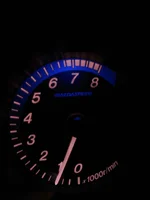 Speedo Night.webp