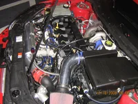 PICS 121808 001.webp