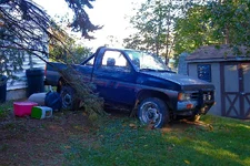 redneckyard.webp