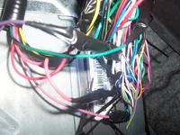 100_4076.webp