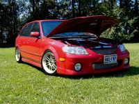 shane p5 ii.webp