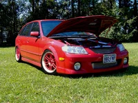 shane p5 iii.webp