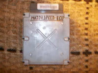 colin 005.webp