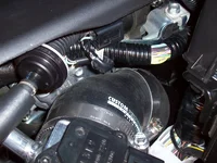 100_0413.webp