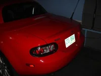 DSC02684 (Medium).webp