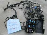 harness.webp