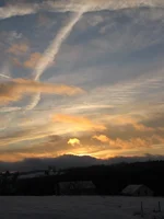 willie pic 056.webp