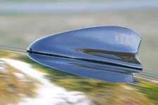 SharkFinDisplay_pic3.webp