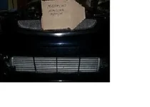 mike 015.webp
