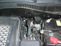 Pix March 09 019.webp