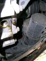 DSCN1555.webp