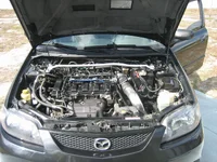 IMG_2303.webp