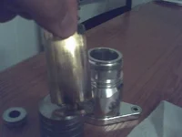 bov pictures 003.webp