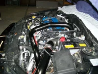 Picture 014.webp