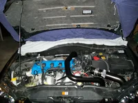Picture 013.webp
