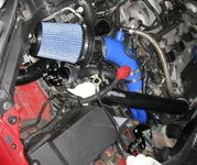IMG_0774.5.webp
