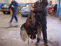 turkey3.webp