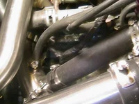 IMG_0136.JPG.webp