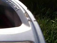 1000_0039.webp