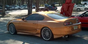 supra.webp