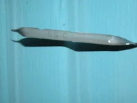 DSCN2098.webp