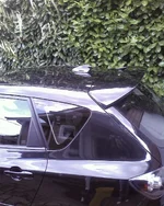 Shark Fin 3.webp